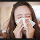 사파동365 이미지