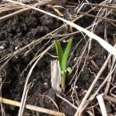 종지농장 이미지