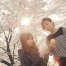 대중세탁소 이미지