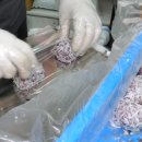 영동전통시장 이미지