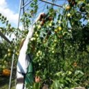 두레농장 이미지