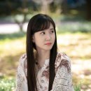 채송아