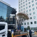 ㈜제일조경나무병원 | 부산 서구 병원 나무 전지 후기