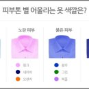 브이존