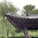 제다원초가집 이미지