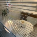 포포베이크샵 이미지