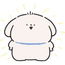 더블루네스 이미지