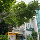 솔벗작은도서관 이미지