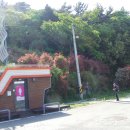 김시식지 이미지