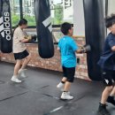 BMG 복싱 이미지