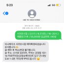 제주 서귀포 '티나케이크' 애플망고 홀케이크, 1호 후기