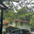 연곡 | [충북 진천] 진천 백숙 맛집 연곡가든 펜션&amp;식당 방문 후기