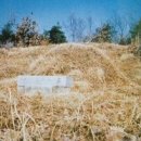 의병장 안승우묘 이미지