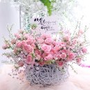 햇살플라워 이미지