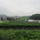 북양리 묘희원 이미지