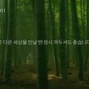 스피드텔레콤 이미지