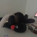 ㈜씨티착한에너지 | 시린 봄을 지나, 우리는 결국 봄이 된다