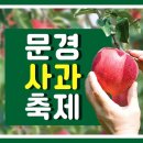 10월 21(수)-문경 새재 숲힐링 감홍사과축제 / 괴산 문광저수지 은행단풍 이미지