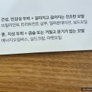 라오르헤어 이미지