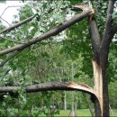 안양시청.시의회청사 이미지