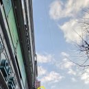 조진호피부과의원 이미지