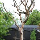 윤미농장 이미지