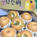 최상배농장 네이버블로그