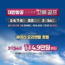 오리엔탈골프 이미지