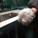 조선일보광화문빌딩 이미지