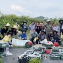 시기동주민센터 이미지