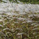 대구수지 이미지