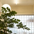 인 더 베이글(In the Bagel) 이미지