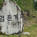 솔밭지 Daum카페