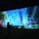 라원 | 경주 여행 경주 실내데이트 내돈내산 동궁원 신상 미디어아트 전시관 '라원' 후기