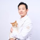배산동물병원 네이버블로그