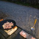 비타민캠핑장 이미지