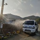 영암오리 이미지