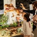 과학아 과학아 어디에 있니? 이미지