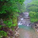 지장산 Daum카페