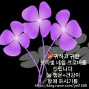 용이앤티타일