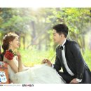화란 이미지
