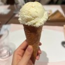 윈터블라썸 | 청주 현대커넥트 맛집 빕스(VIPS) 식당 윈터파티 샐러드바 내돈내산 후기 (+ 메뉴, 가격, 주차)