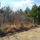 01-120 동구 이미지