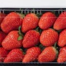 장희농장 이미지