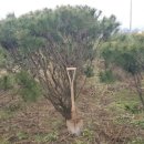 여주-0102 이미지