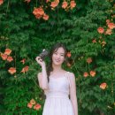 크림스냅 | 뚝섬 능소화 스냅 후기｜능소화 스냅 코디부터 여름 촬영 팁까지