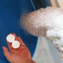 갤럭시펫 애견미용 이미지