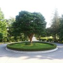 국립산림과학원 산림유전자원부 이미지