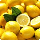 레몬라이프 이미지