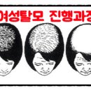 낙동대로 이미지